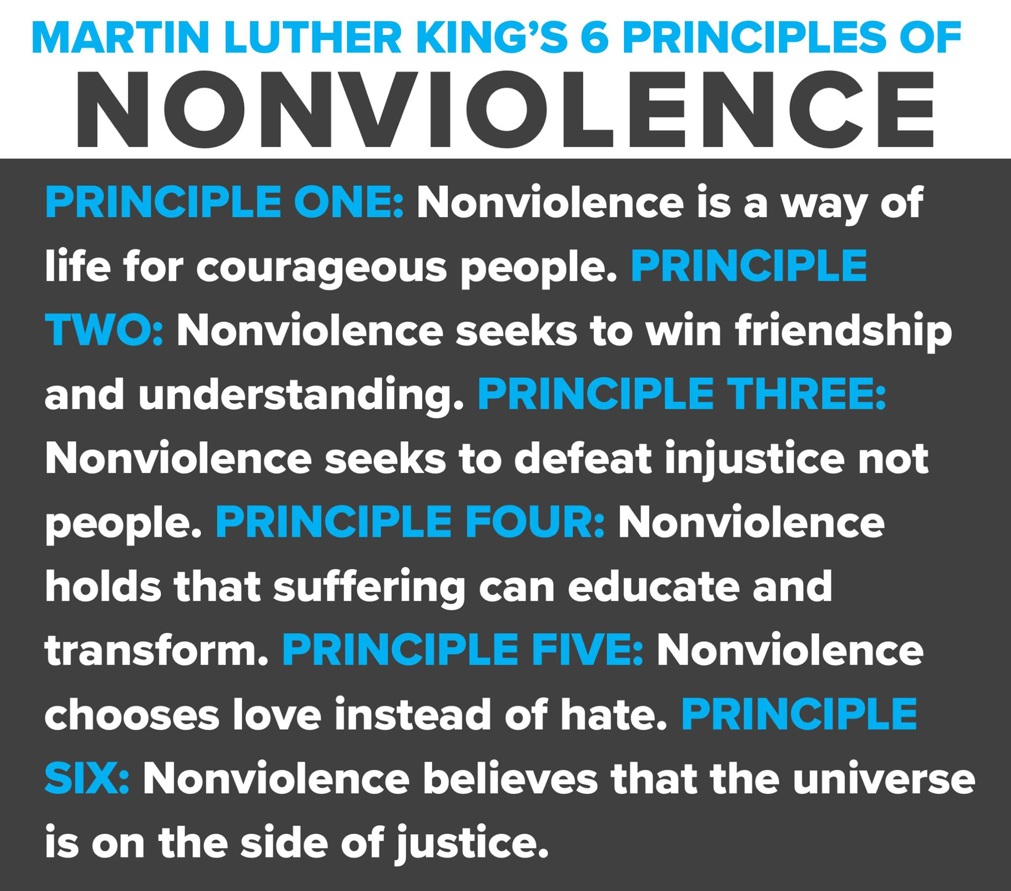 MLK Principles