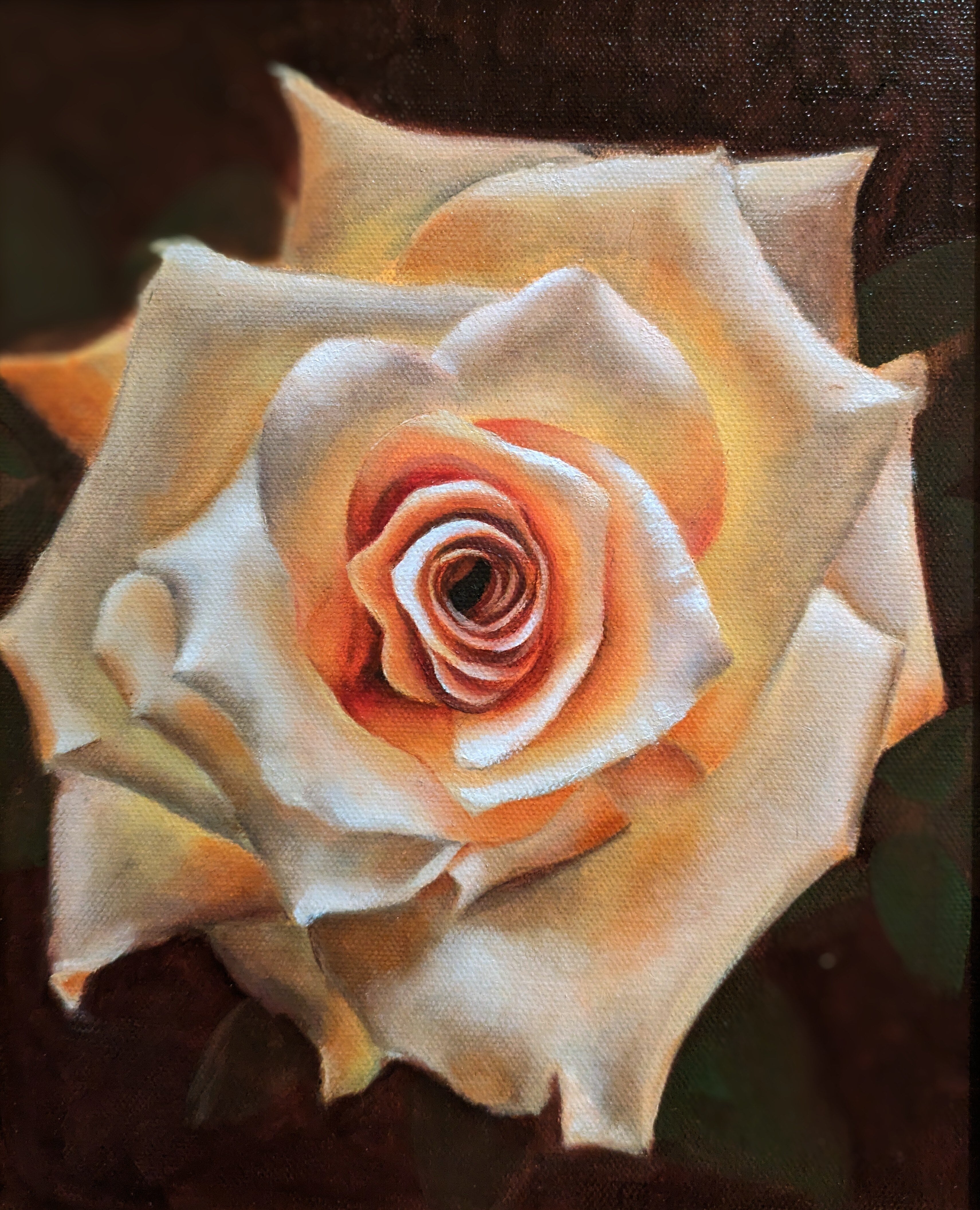 Twilight's White Rose