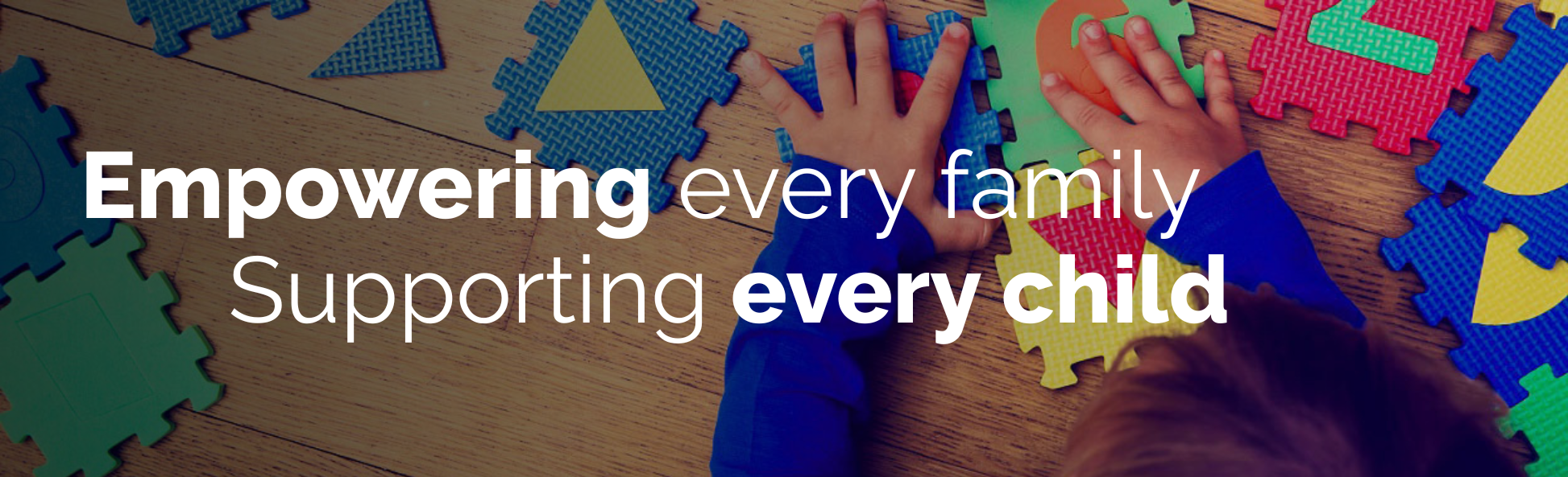 Special Needs Banner 3