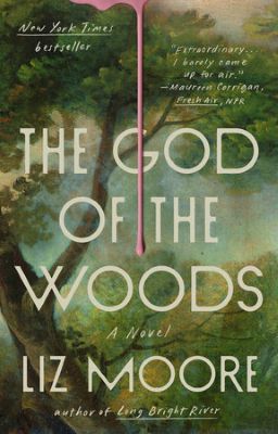 Cover to The God of the Woods by Liz Moore