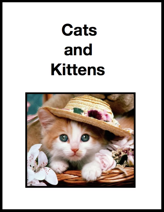 Cats and Kittens