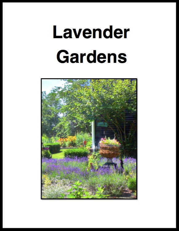 Lavender Gardens