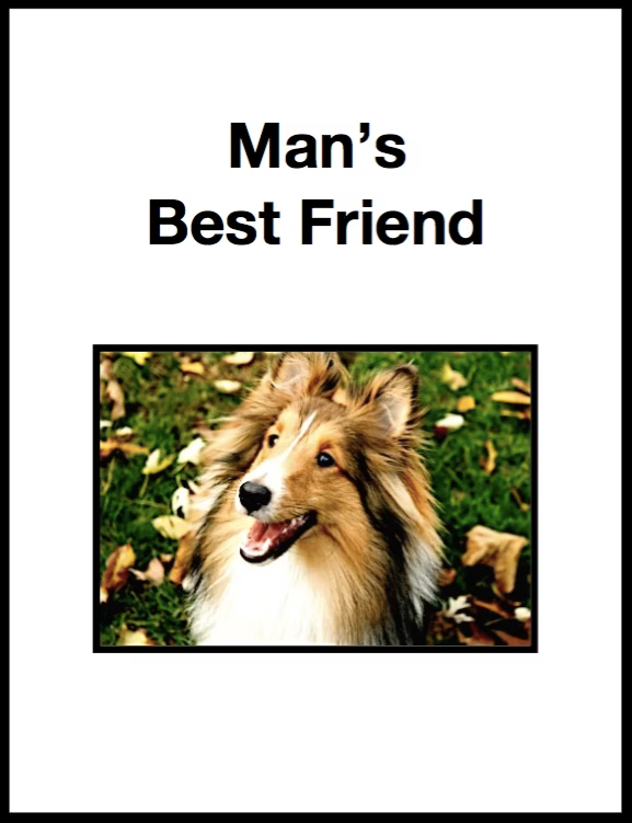Man's Best Friend