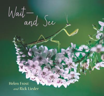 Wait –– and See