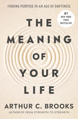 The meaning of your life : finding purpose in an age of emptiness