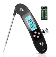 Talking Thermometer