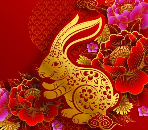 Lunar New Year Rabbit