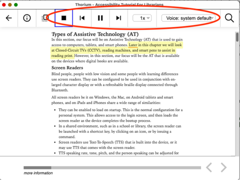 Figure 13- Speech Controls for Thorium's Read Aloud.png 