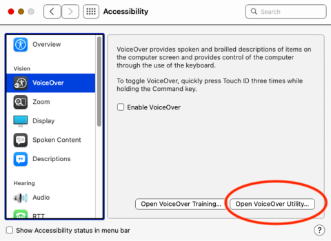 Figure 2- Accessibility Preferences - VoiceOver Selected.png