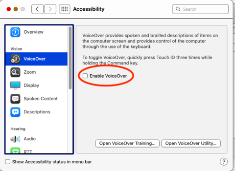 Figure 5- Turning VoiceOver On or Off.png 
