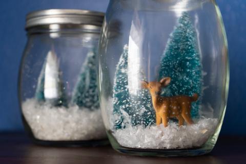 Winter Terrarium