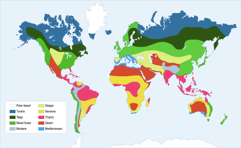 Biomes