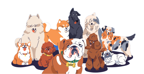 Doggie Social