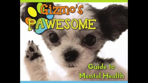 Gizmo's Guide