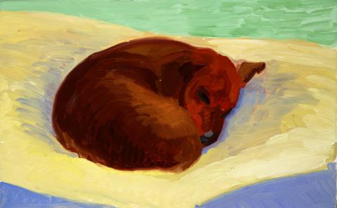 Hockney Dog