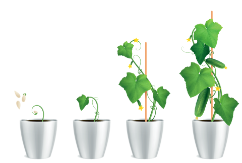 Little Gardeners