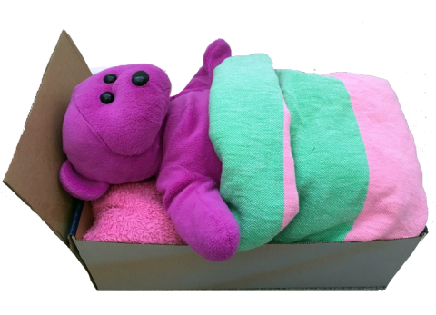 Stuffie Sleepover