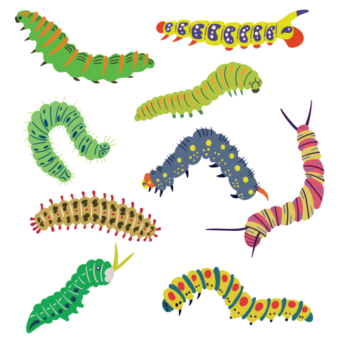 Creepy Slimy Creatures