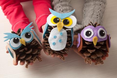 Pine Cone Owl