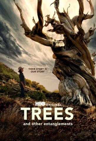 Trees and Other Entanglements