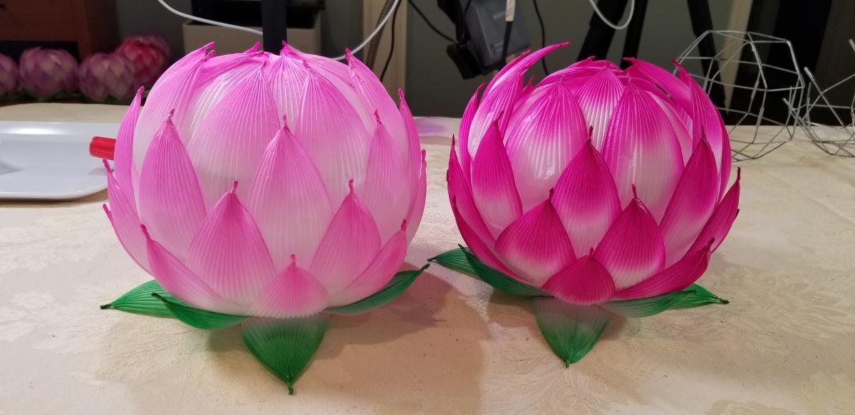 Lotus Flower