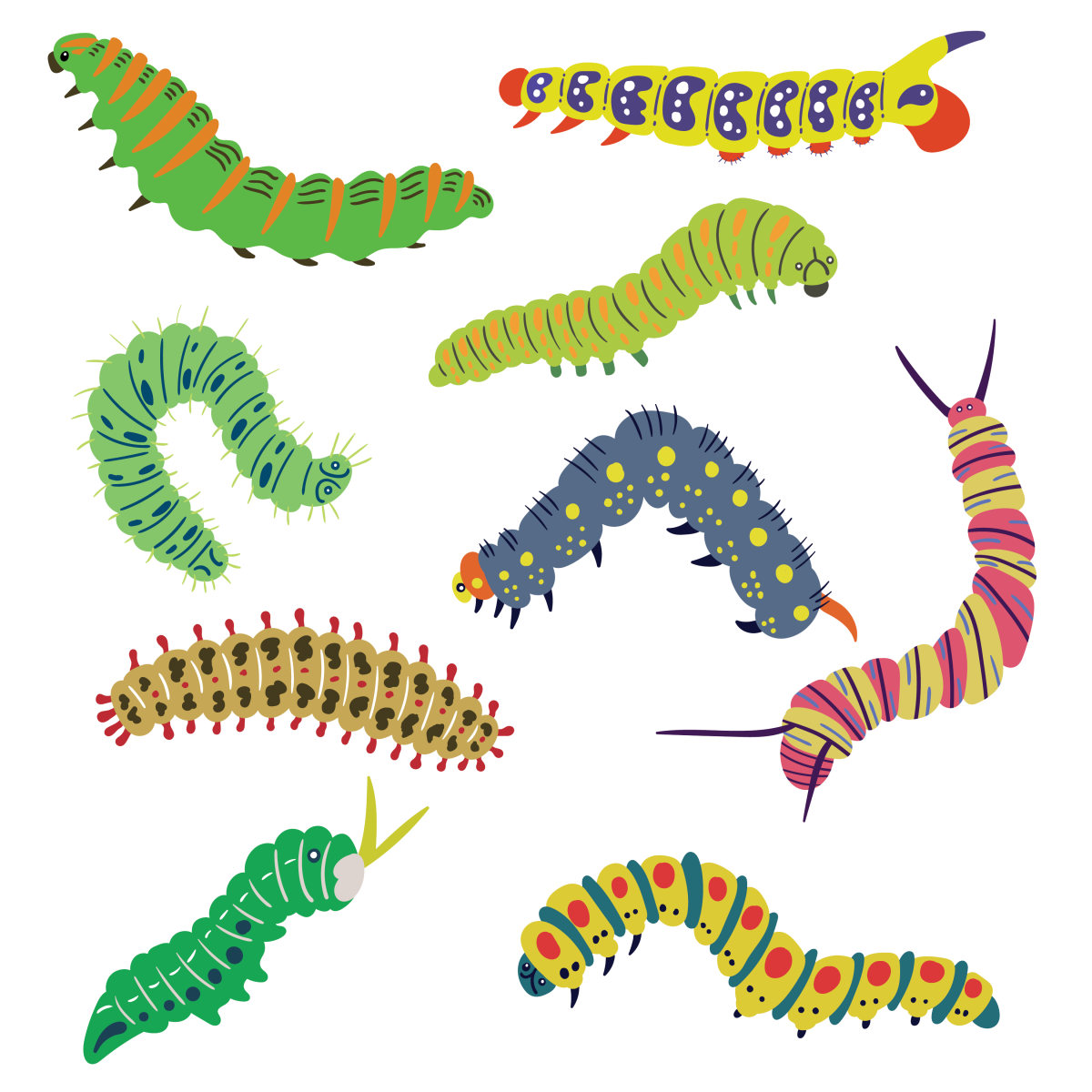 Creepy Slimy Creatures