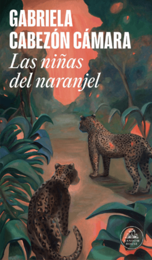 Gabriela Cabezon Camara - Las niñas del naranjel
