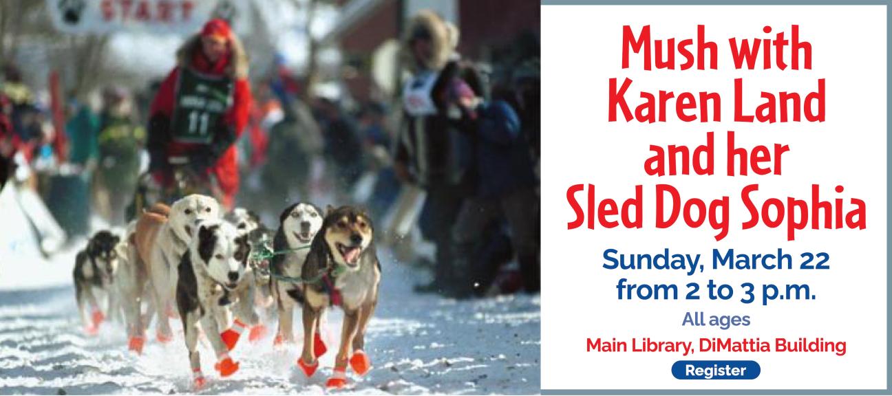 Mush with Karen Land and her Sled Dog Sophia